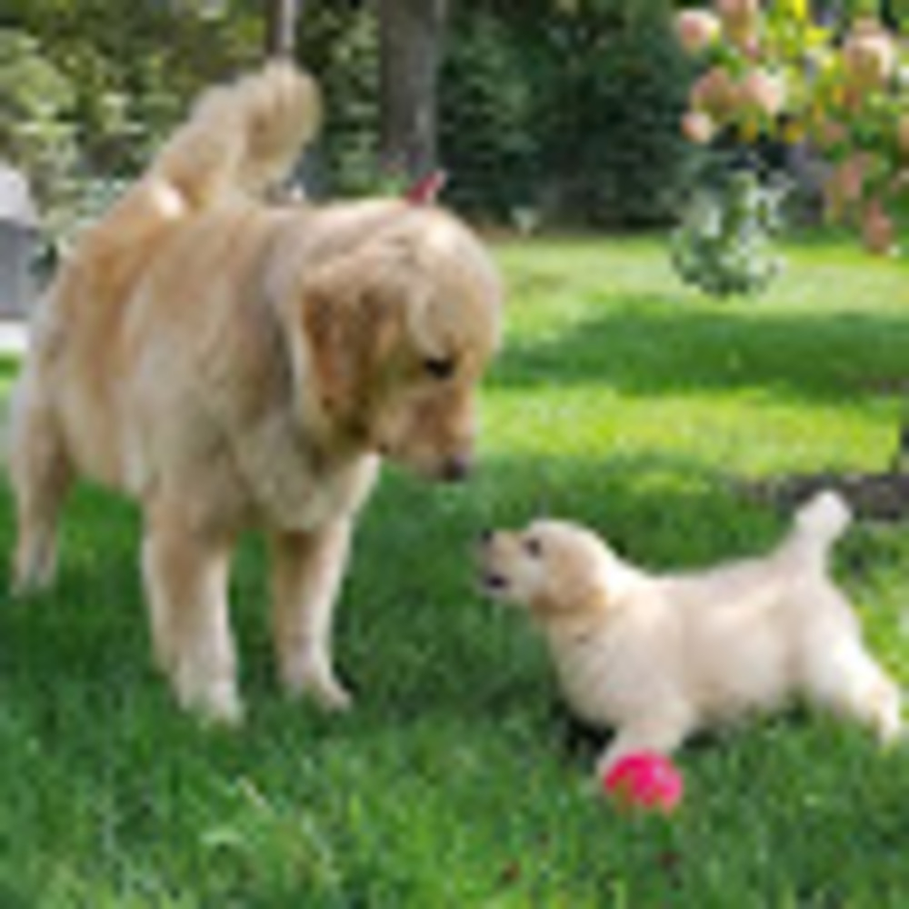 Meet your Posher, Mia